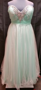 plus size tulle prom dress