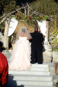 ruffle Allure wedding gown