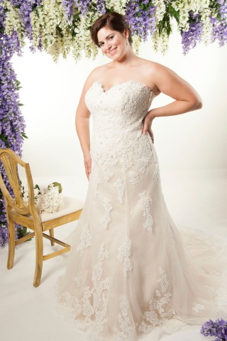 plus size lace trumpet wedding dress