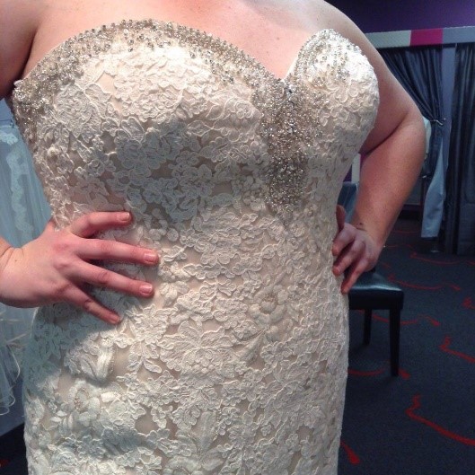 NEW DRESS ALERT: Plus Size Lace Mermaid Bridal Gown with Bling