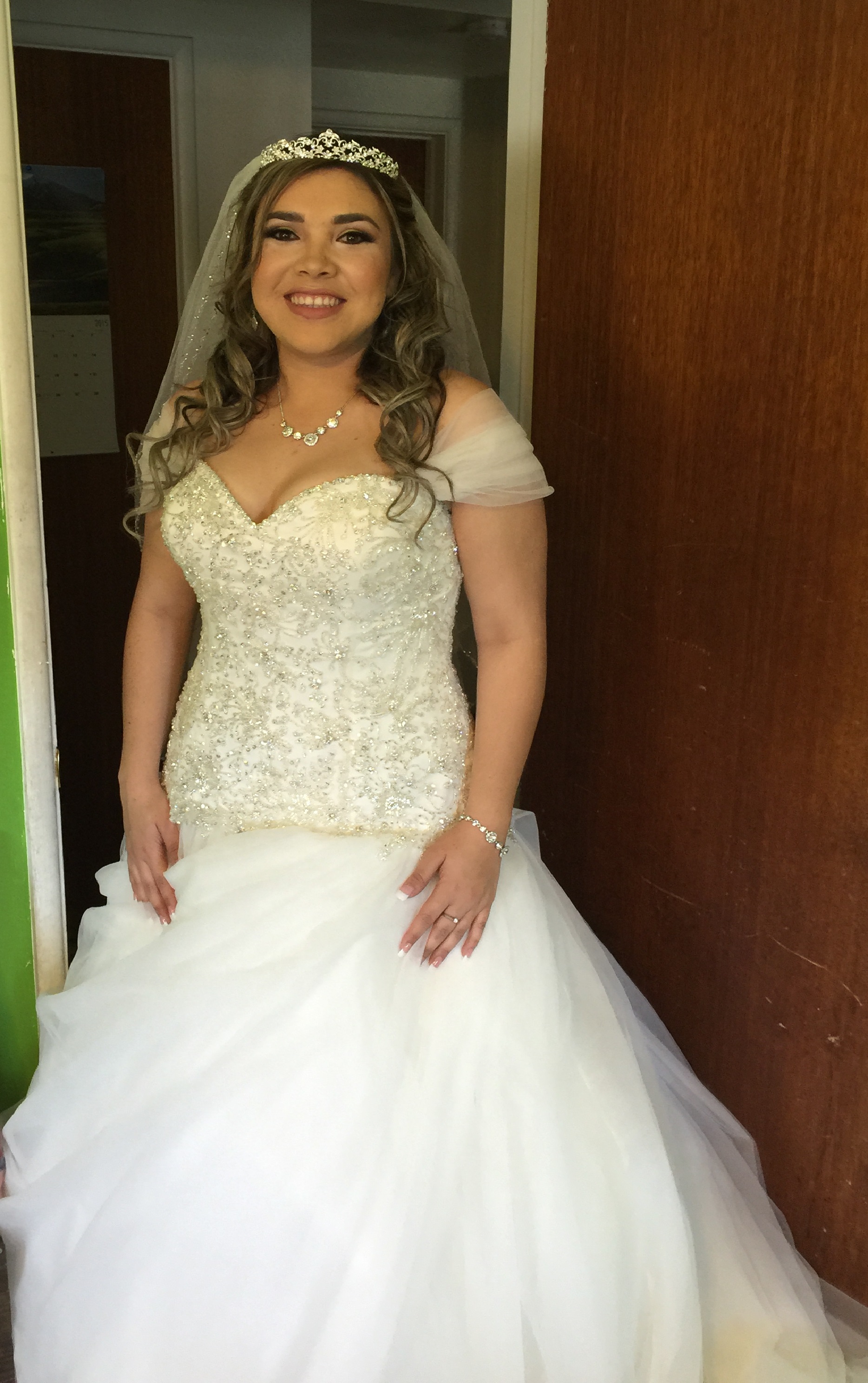 Plus size hot sale bridal gowns