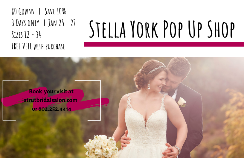 Stella York Plus Size Wedding Dress Pop-Up Shop