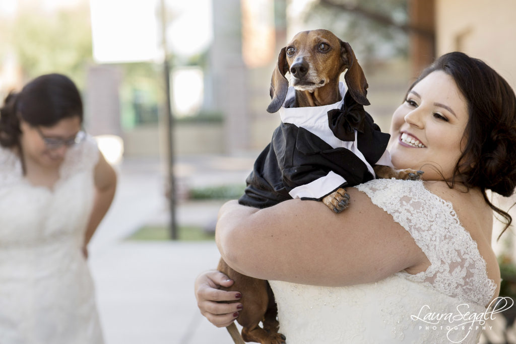 plus size wedding dress with straps