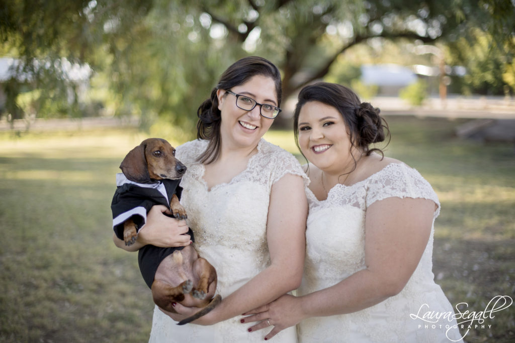 plus size brides