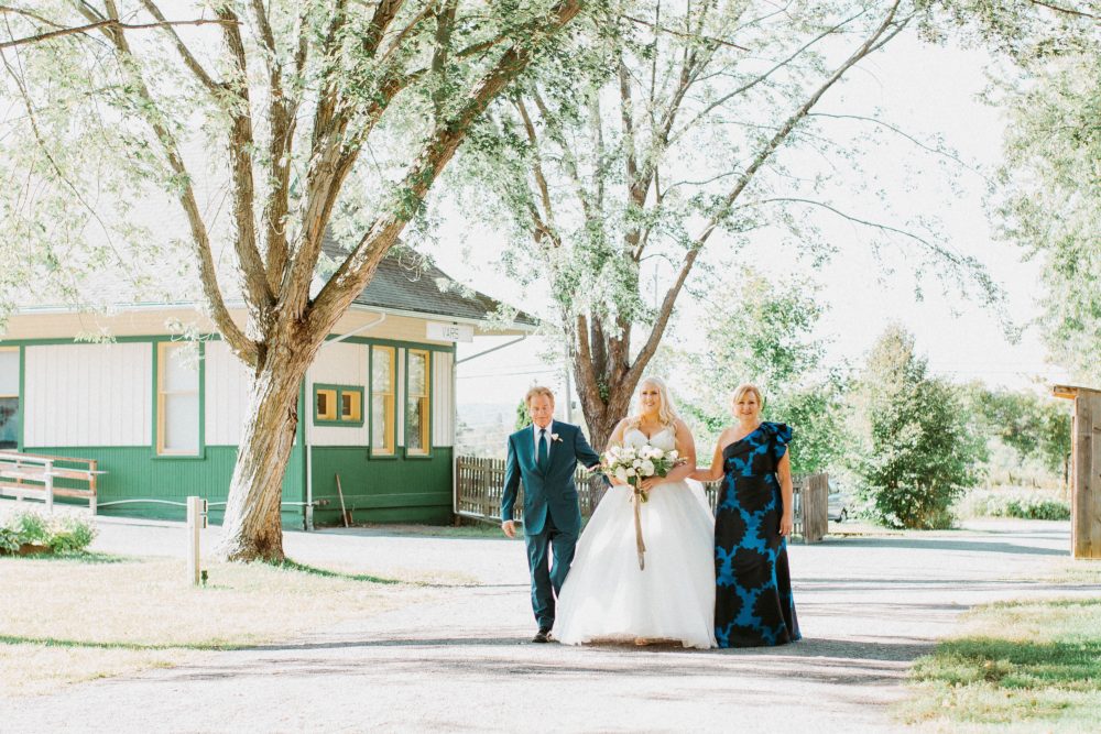 sparkle lace plus size wedding gown