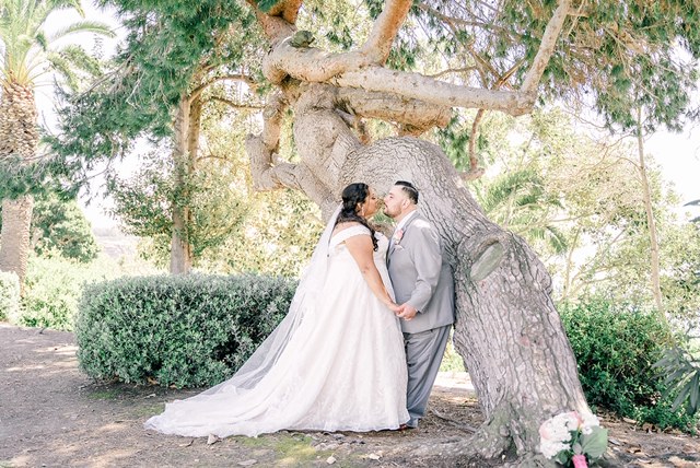 plus size bride and groom by tree