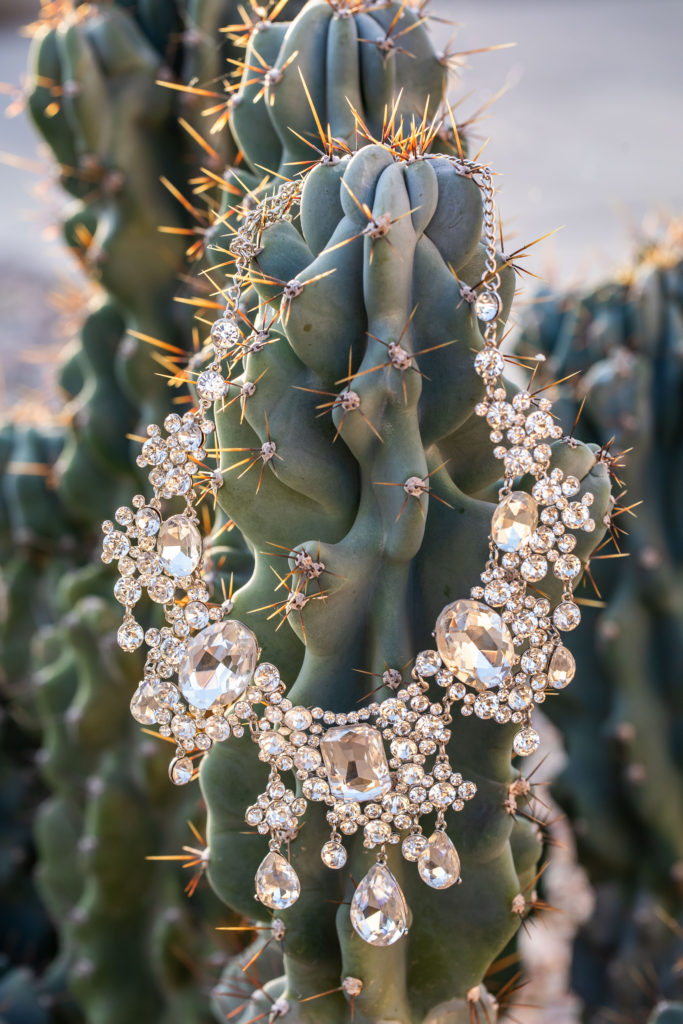 big rhinestone necklace on a cactus