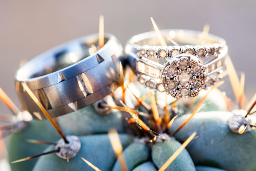 close up of wedding rings on a cactus