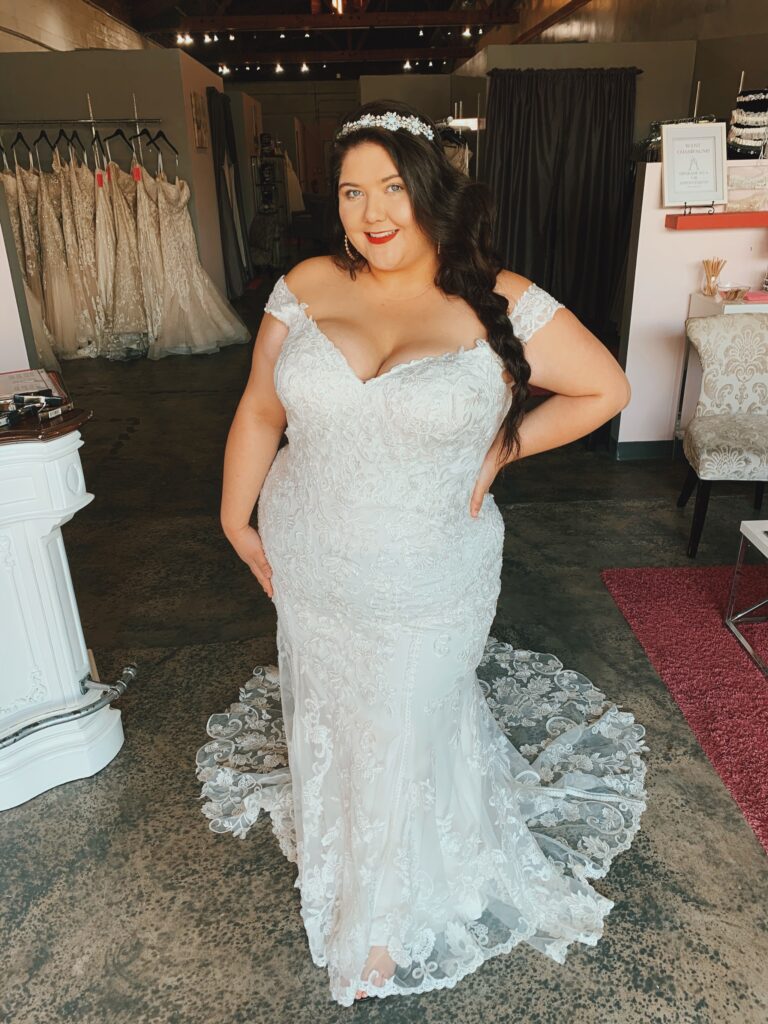 Plus size shop disney wedding dresses