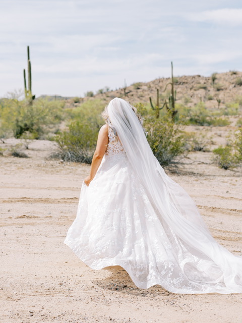 bride in lace ballgown wedding dress with long tulle cathedral veil in arizona desert