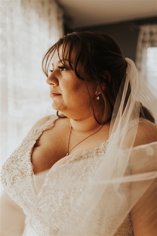 bride portrait with veil