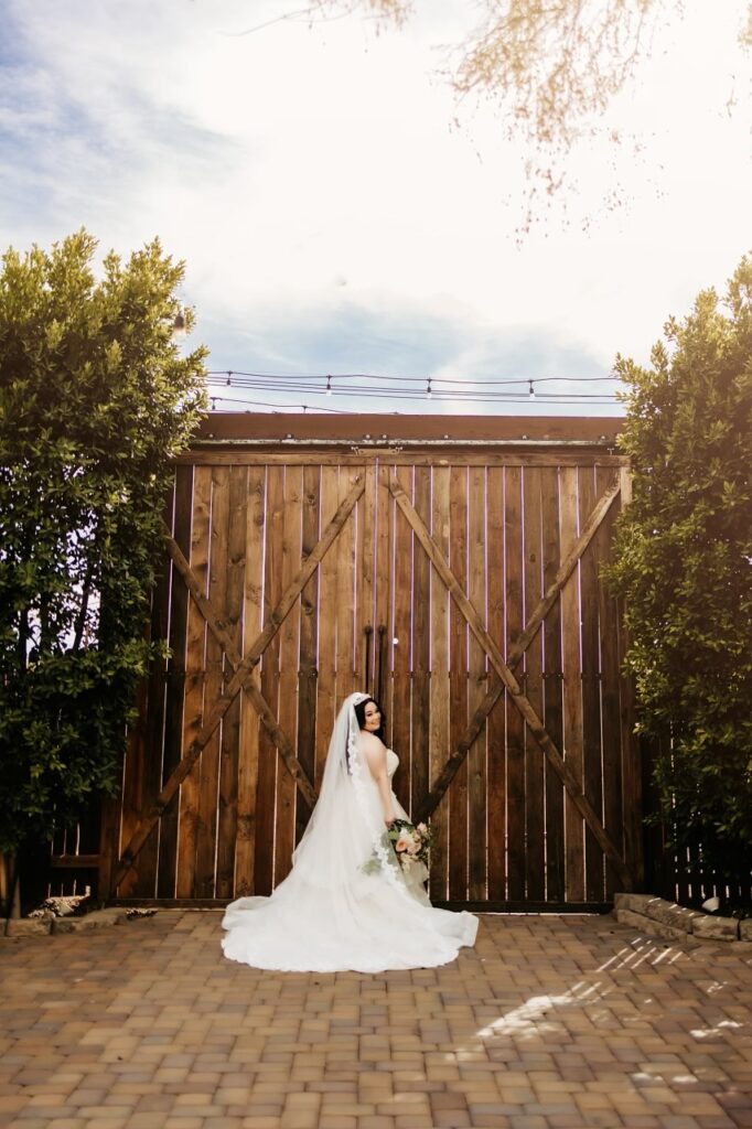 Bride wearing plus size glitter ruffle ballgown wedding dress phoenix arizona