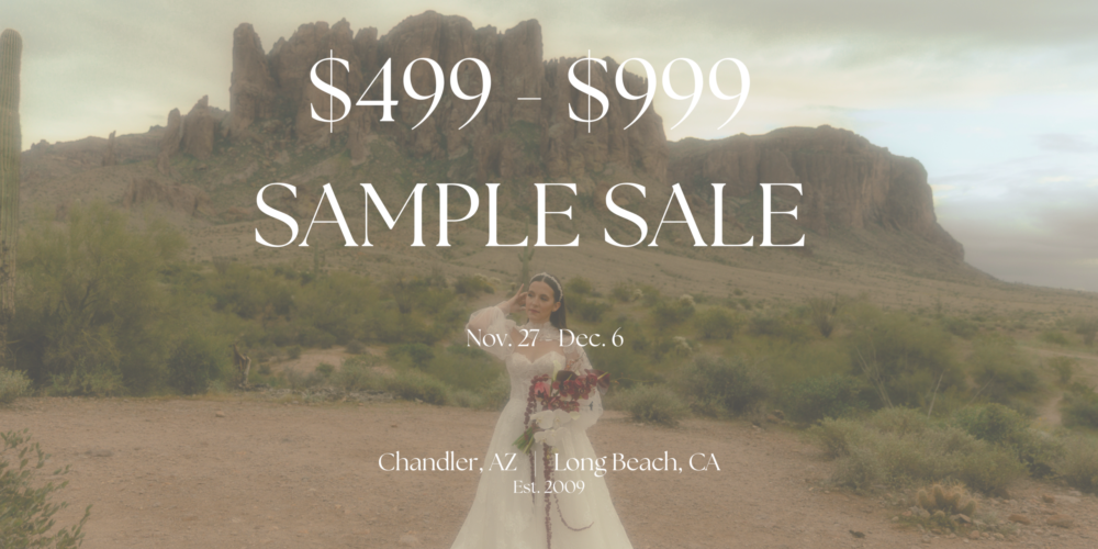 Strut Bridal bride in arizona desert wedding dress